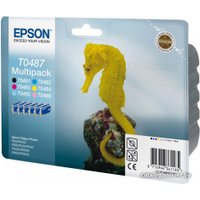 Картридж Epson EPT04874010 (C13T04874010)