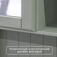 Шкаф-витрина Диприз Lena 1дв Д.73050.1 (pantone 5797)