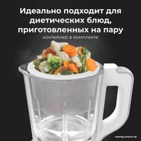 Блендер-суповарка AENO TB1