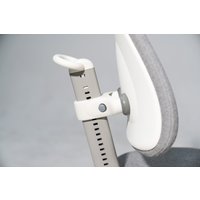 Компьютерное кресло ErgoSmart Maximus (серый)