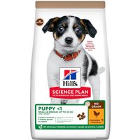 Сухой корм для собак Hill's Science Plan No Grain Small and Medium Puppy для щенков средних пород с курицей 2.5 кг