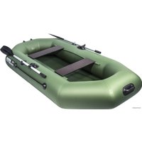 Моторно-гребная лодка Аква-Мастер 260 (зеленый)