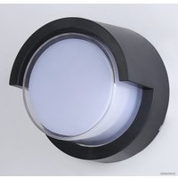 Уличный настенный светильник Ambrella light Garden ST5231