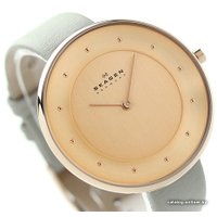 Наручные часы Skagen SKW2139