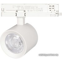 Трековый светильник Arlight LGD-NIKA-4TR-R100-20W Warm3000 031108