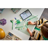 Конструктор LEGO Botanicals 11508 Ромашки и лаванда