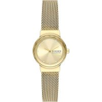 Наручные часы Skagen SKW3110