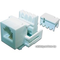 Розетка TWT TWT-OK12UTP-110WH