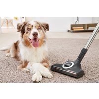 Пылесос Miele Complete C3 Cat&Dog PowerLine SGEF3