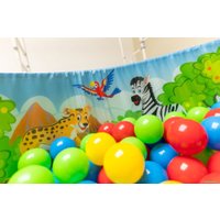 Сухой бассейн Romana Мир внутри Сафари ДМФ-МК-02.54.01-01 (150 шаров)