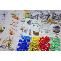 Настольная игра Фабрика игр Петрикор