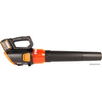 Ручная воздуходувка Worx WG584E (с 2-мя АКБ)