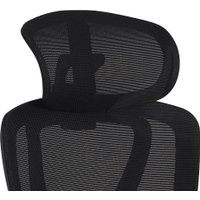 Офисное кресло Evolution LX 1 Black (черный)