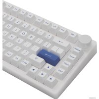 Клавиатура Akko PC75B Plus White & Blue (Akko CS Jelly Black)