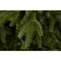 Ель GreenTerra Скандинавская 1.5 м