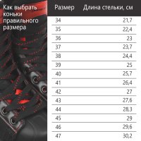 Коньки Winter Star Red Line 9667131 (р.46)