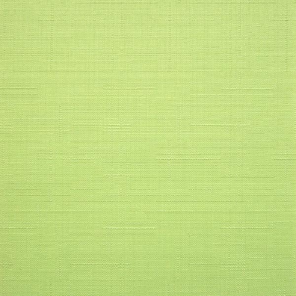 

Рулонные шторы Jalux Лен 873 48x160 (киви)