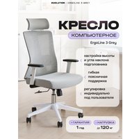 Офисное кресло Evolution ErgoLine 3 (серый)