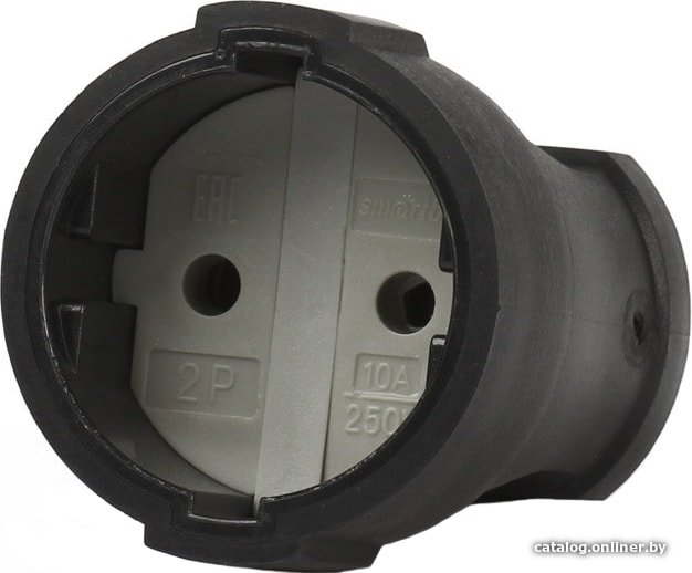 Розетка SmartBuy SBE-10-S02-B