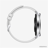 Умные часы Xiaomi Watch S1 (серебристый/серый, международная версия)