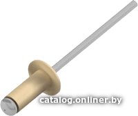Заклепка вытяжная Starfix SMP2-101895-250