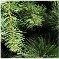 Ель Royal Christmas Montana Slim 1.95 м
