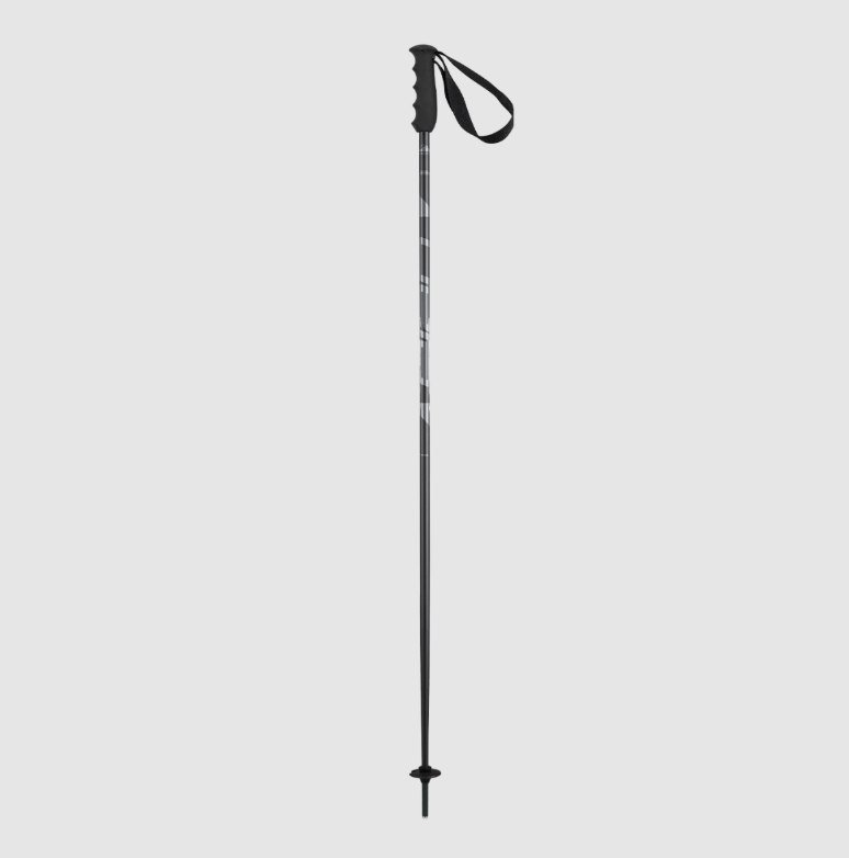 

Лыжные палки Elan Speedrod 2024-2025 CD532023-110 (р.110, черный)