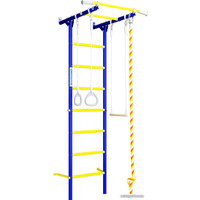 Детский спортивный комплекс Romana S1 01.21.7.06.490.05.00-13 (синяя слива)