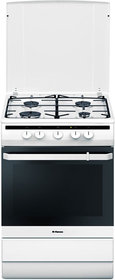 

Кухонная плита Hansa FCMW63000