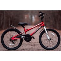 Детский велосипед Lenjoy Sports Finder 20 2024 LS20-1RED (красный)