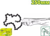 DTLP5510
