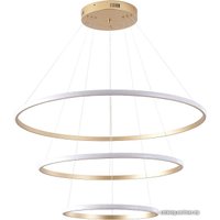 Подвесная люстра Zortes Ringolight ZRS.33325.120C