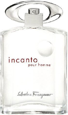 

Туалетная вода Salvatore Ferragamo Incanto Pour Homme EdT (100 мл)