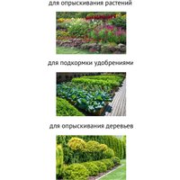 Аккумуляторный опрыскиватель Pioneer Tools BWS-10L-01