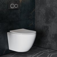 Панель смыва Roxen Santi 410280B