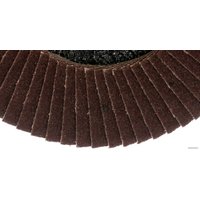 Шлифовальный круг Targ 663406