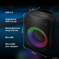 Беспроводная колонка Hyundai H-PS1005