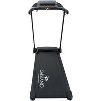 Электрическая беговая дорожка Calviano Harvi (черный)