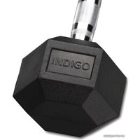 Гантель Indigo IN124 15 кг