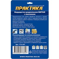 Щетка для электроинструмента Практика Мастер 773-347