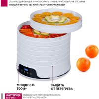 Сушилка для овощей и фруктов Мастерица EFD-5002