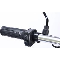 Электровелосипед MyWay Truck 1.0 350 20 (15, синий)