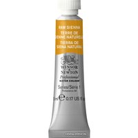 Акварельные краски Winsor & Newton Professional №552 102552 (5 мл, сиена натуральная)