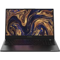 Ноутбук Digma Pro Magnus M DN16R5-ADXW02