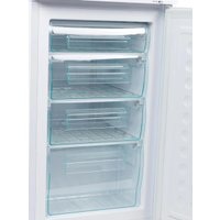 Морозильник Tesler RF 90 (белый)