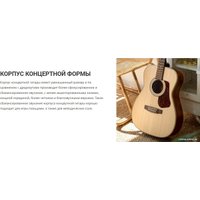 Акустическая гитара Cort L100C NS