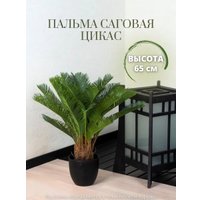 Искусственное растение Merry Bear Home Decor Пальма Саговая Цикас AR23065