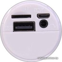 Bluetooth-микрофон Wster WS-1816 (белый)