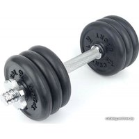 Гантель Central Sport N2 9.5 кг