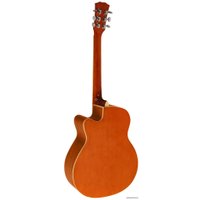 Акустическая гитара Elitaro E4010 N